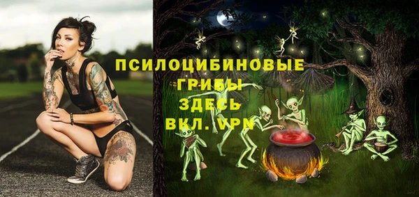 дмт Карталы
