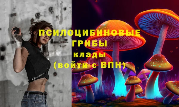 дмт Карталы