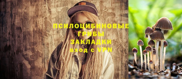 дмт Карталы