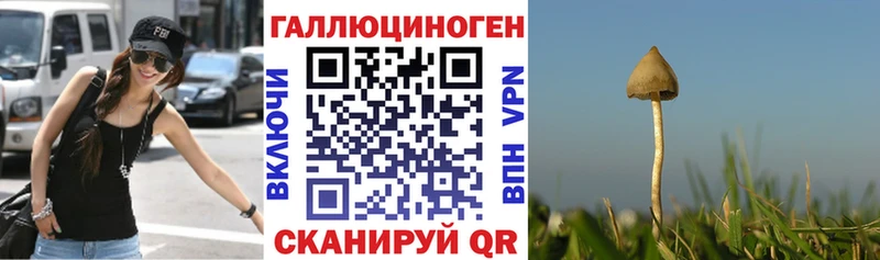 Псилоцибиновые грибы мухоморы  Купить  Галич 